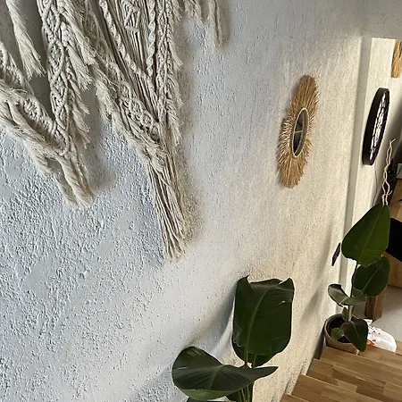 Rhea Boutique * 阿拉恰特